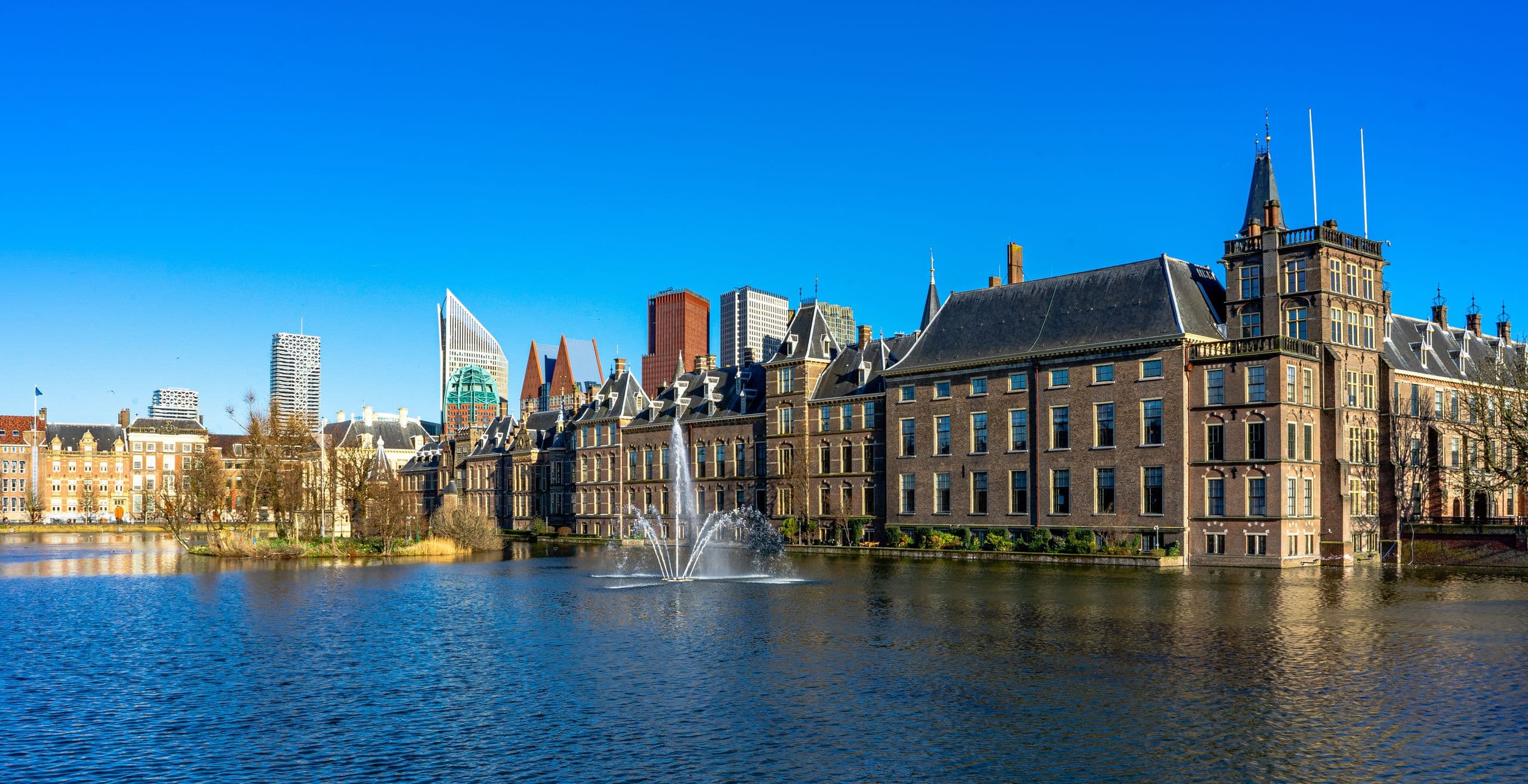 Freiwilligenarbeit in Den Haag